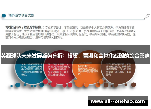 英超球队未来发展趋势分析:投资、青训和全球化战略的综合影响 英超球队未来发展趋势分析:投资、青训和全球化战略的综合影响